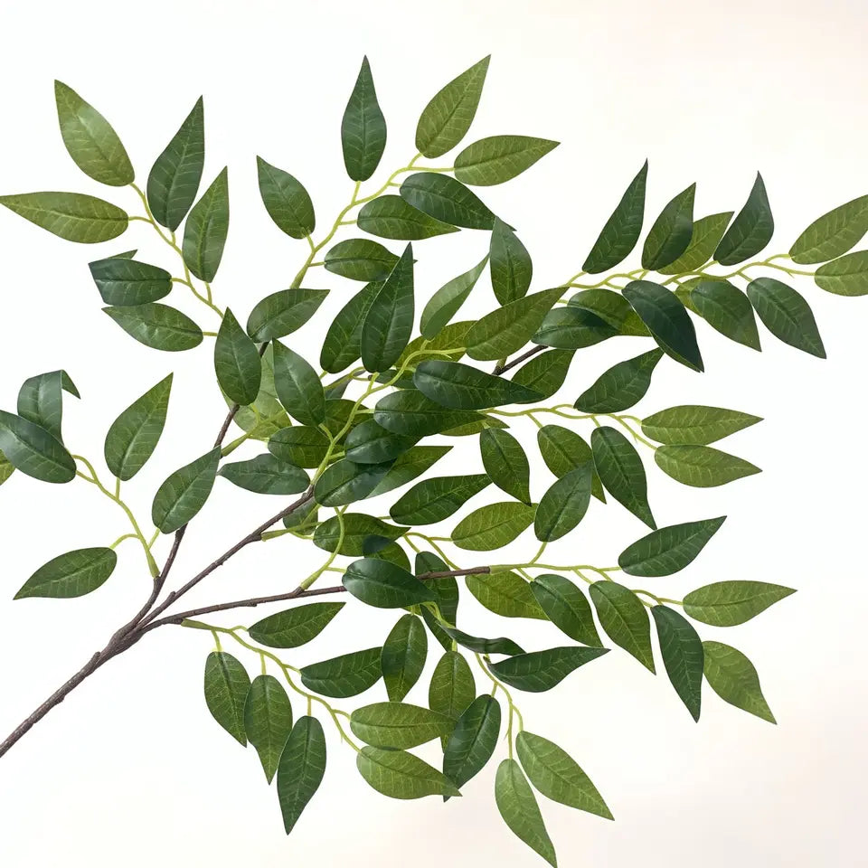 Banyan Tree Branch