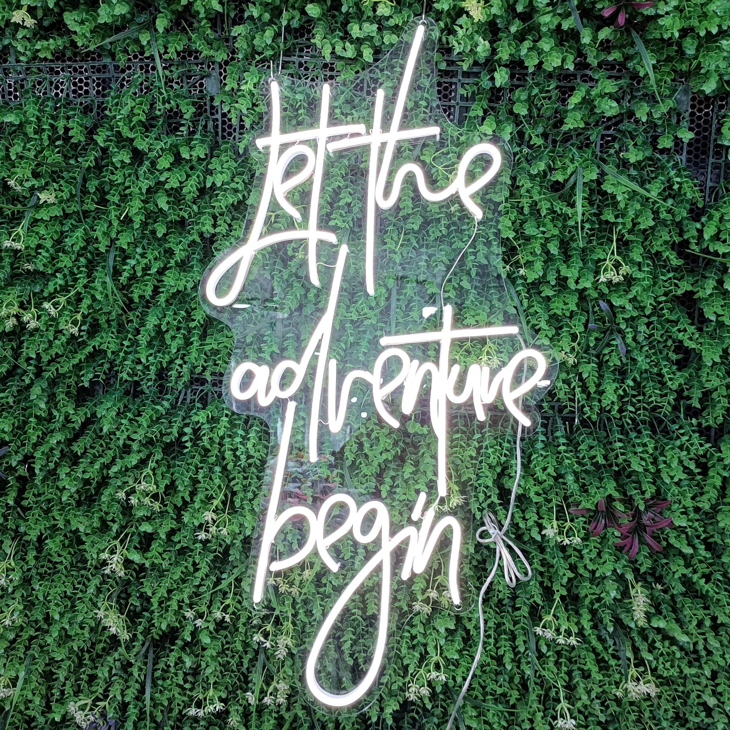 Let the adventure begin